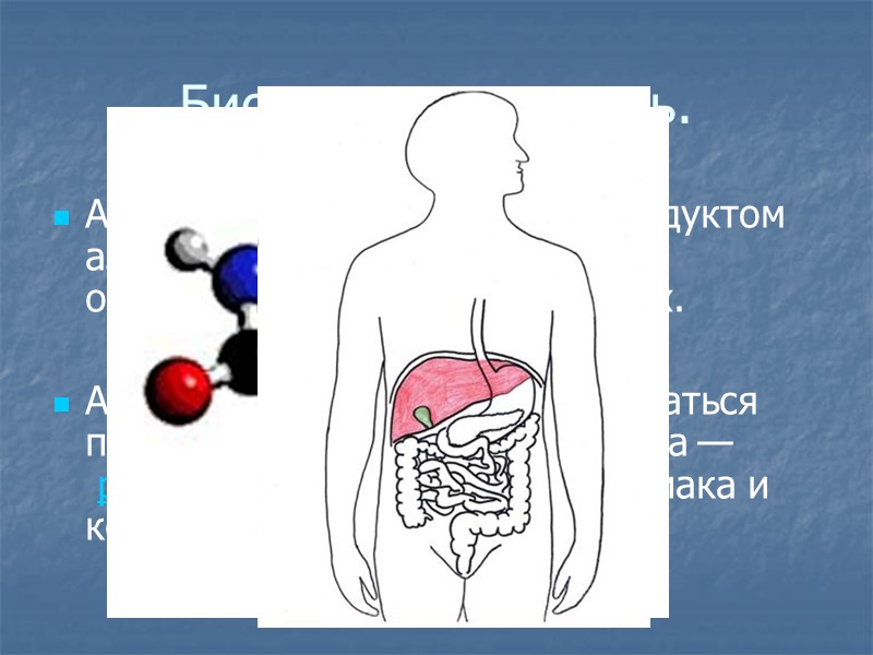 Биологическая роль. Аммиак является конечным продуктом азотистого обмена в организме человека и животных. 